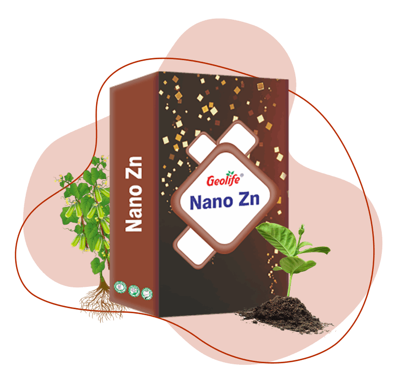 Nano Technology Complete Nutrient Fertilizers