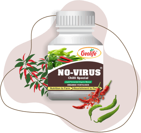 No Virus Chilli Special