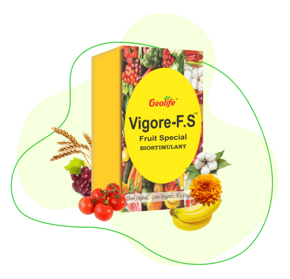 Vigore Fruit Special