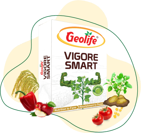 Vigore Smart