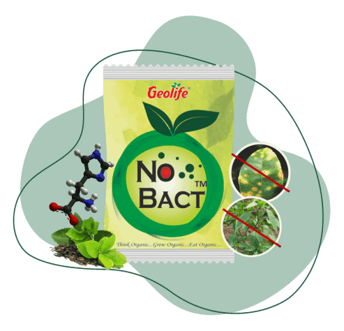 No Bact | Board Spectrum Organic Antibacterial Product for Crop Protection