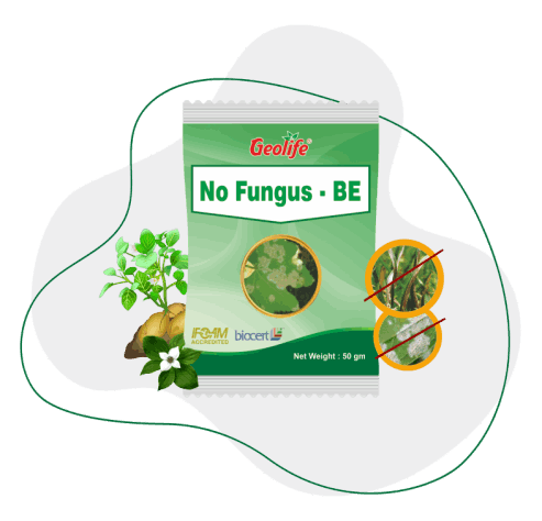 No Fungus BE | Botanical extract based Enhances Crop Immunity against Fungal