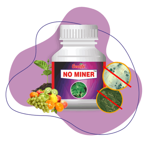 No Miner | Organic Crop Pprotection Bio-Insecticide for Leaf Miner