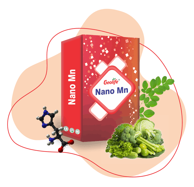 Nano Technology Complete Nutrient Fertilizers